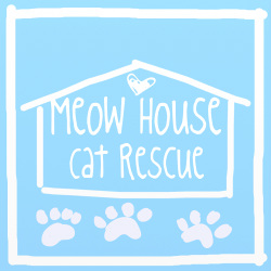 Meow House Cat Rescue